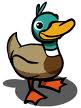 Duck 