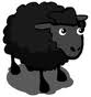 Black sheep