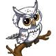 owl