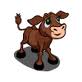 Brown calf