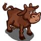 Brown cow 