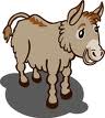 Donkey