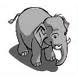 baby elephant