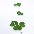 Lucky