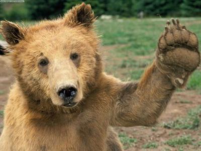 High Five