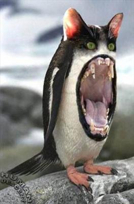 killer penguin