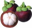 Mangosteen