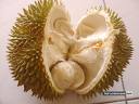 Durian