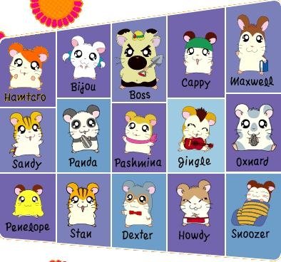 Hamtaro Characters