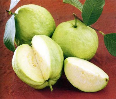 Guava