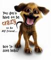 Crazy Dog