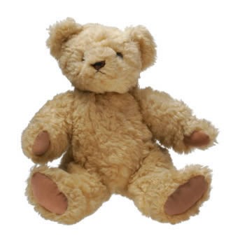 Teddy