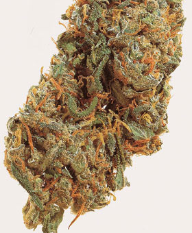 Haze