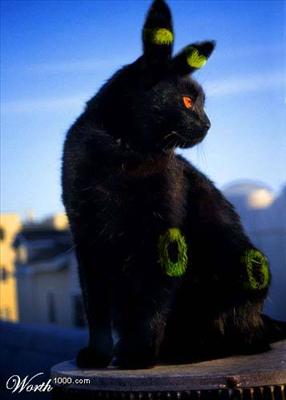 Umbreon