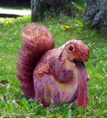 Lickitounge