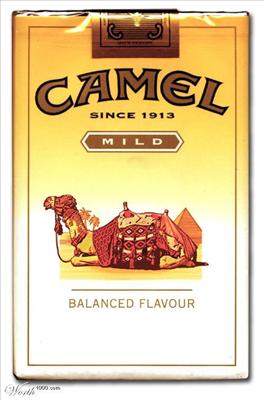 Camel