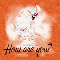 HOW ARE YOU TODAY?