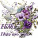 HOW ARE YOU TODAY?