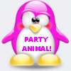Party Animal Penguin