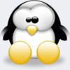 Big Eyed Penguin