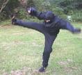 Ninja spark