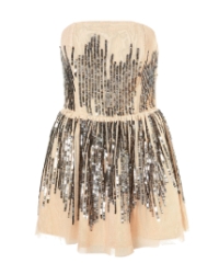 Sequin Dress www.garderobche.com