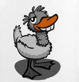 Ugly Duckling