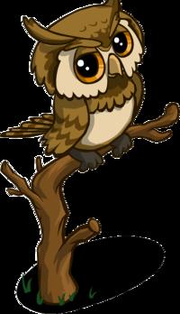 Owl