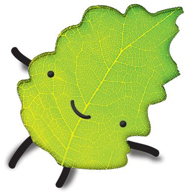 Lechuga