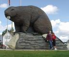 Giant Beaver