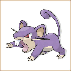 Rattata