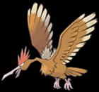 Fearow