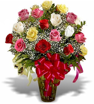 rainbow roses