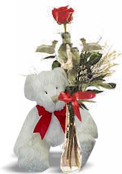 Single Rose & plush toy