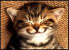 [: smiley 2 