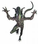 ALIEN