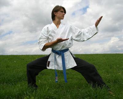 Ninja warrior pic