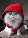 Little Red Riding Hood