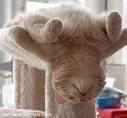 Upside-down