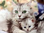 Mom and Baby