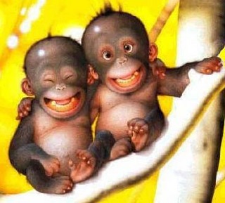 Eres esa persona que con una sonrisa me alegra todo el dia =D