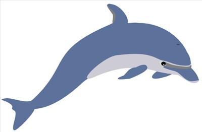 Dolphin