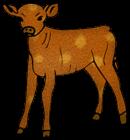 Calf
