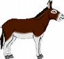 Donkey