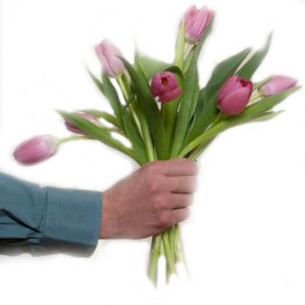Tulips for u!