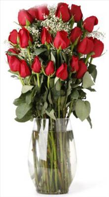 This roses for u!