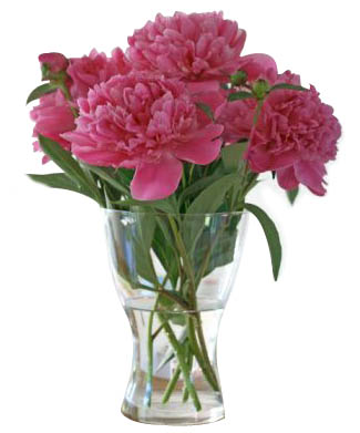Flowers for u!