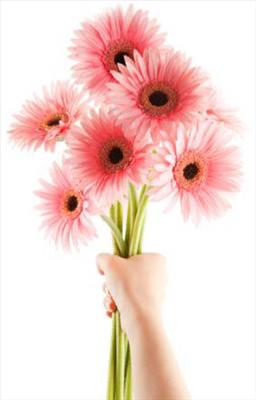 Flower for u!