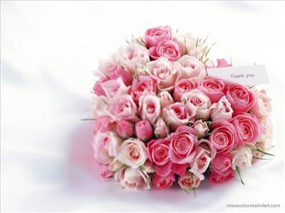 PEMBE GÜL