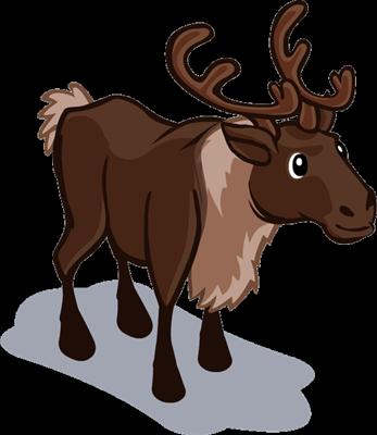 Reindeer